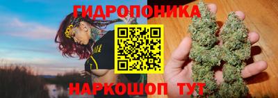 PSILOCYBIN Кизляр